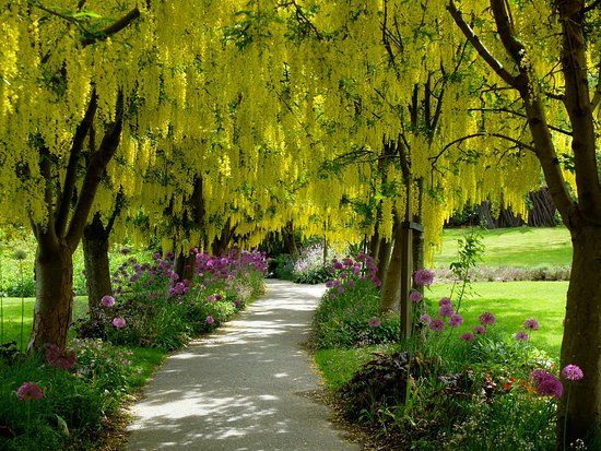 Jardin Botanique de VanDusen